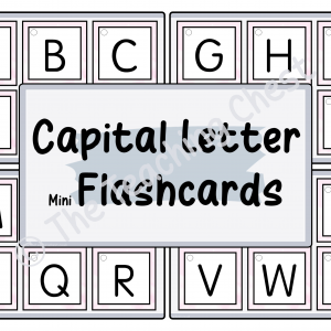 Capital Letter Mini Flashcards