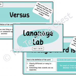 The Language Lab - Year 5 (A4)