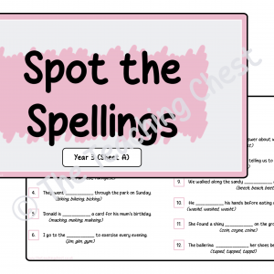 Spot the Spellings - Year 3 (Sheet A)