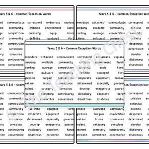 Common Exception Word Mat - Years 5 & 6