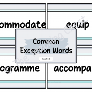 Common Exception Words - Year 5 & 6